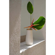 Handcrafted Timeless Vase in White Natural Design - FANNUR BBL
