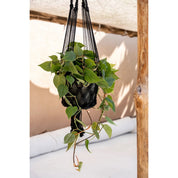 Timeless Luxury Handmade Macrame Plant Holder in Black