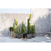 Timeless Black Charcoal Artisan Design - Handmade Luxury Statement