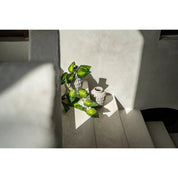 Timeless Handmade Concrete Vase - Luxury Artisan Design